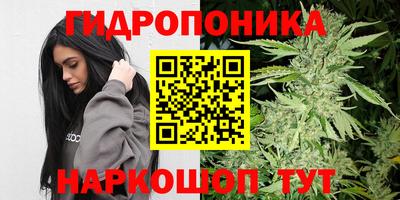 гашик Бийск