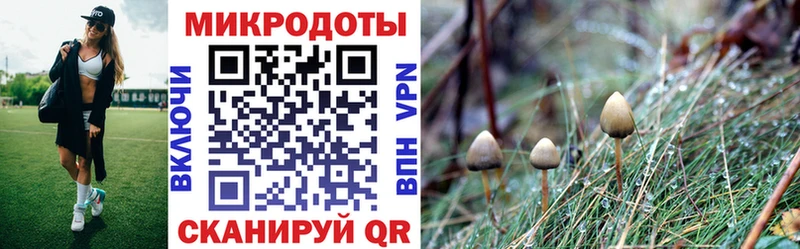 Галлюциногенные грибы GOLDEN TEACHER Удомля