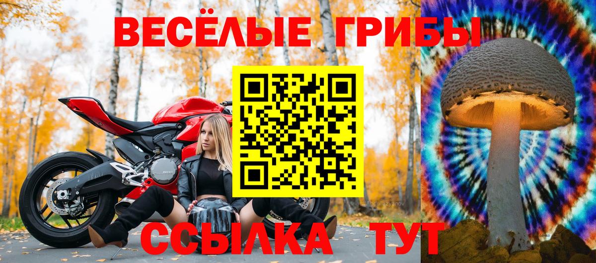 Галлюциногенные грибы Cubensis  Вход с VPN  Удомля 