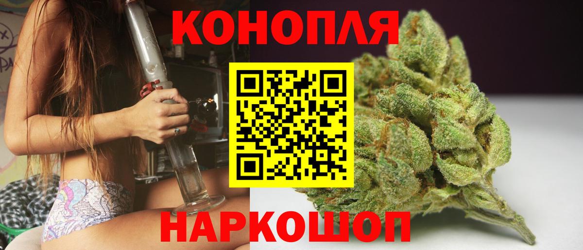 Каннабис OG Kush Удомля